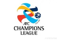 今年会官方入口-某球员在亚冠赛事中表现出色，成为焦点人物(某球员在亚冠赛事中表现出色,成为焦点人物的是谁)