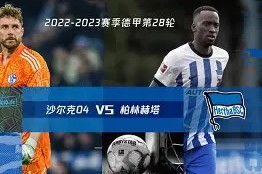 今年会网页版-包含沙尔克球队欲补充新鲜血液，壮大实力的词条