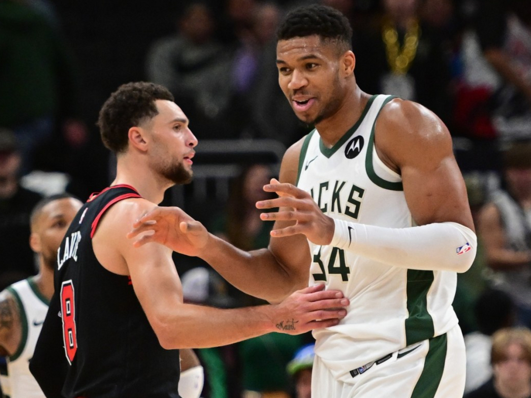 包含雄鹿大胜灰熊，字母哥贡献全能表现的词条